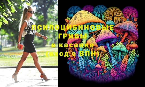 метадон Ладушкин