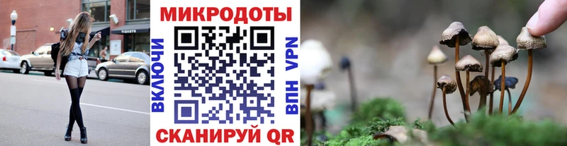 где можно купить наркотик  hydra маркетплейс  Псилоцибиновые грибы мухоморы  Шахты 
